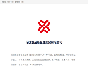 深圳友金所金融服务有限公司
