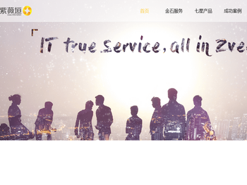 湖南紫薇垣信息系统有限公司