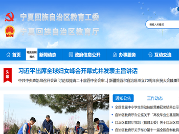 河南骏哲网络科技有限公司