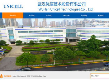 武汉优信技术股份有限公司