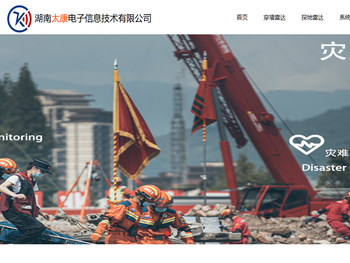 湖南太康电子信息技术