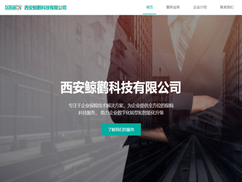 西安鲸鹳科技有限公司