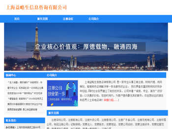 上海益略生信息咨询有限公司