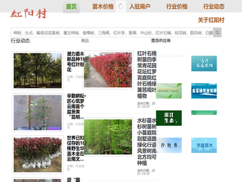 启东市红阳村苗木交易平台