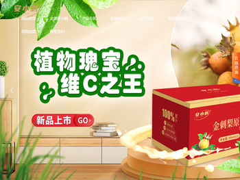 贵州安小刺保健品有限公司