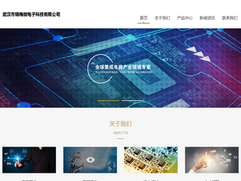 武汉市锦梅微电子科技有限公司