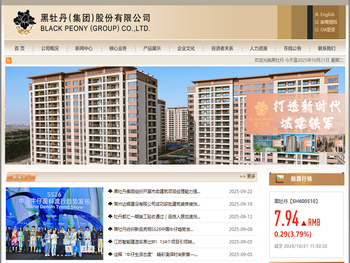 黑牡丹（集团）股份有限公司