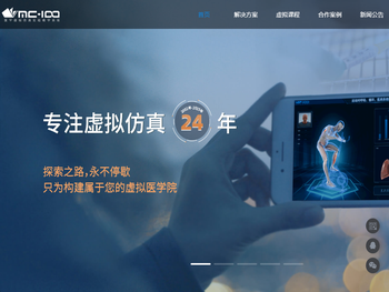 成都泰盟软件VMC