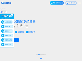 上海seo优化公司