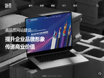 专业网站制作公司