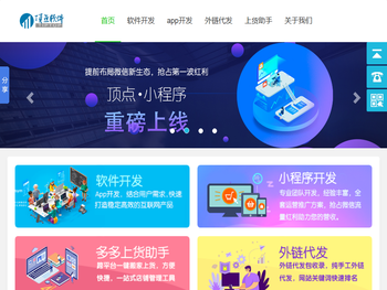 厦门顶点软件有限公司