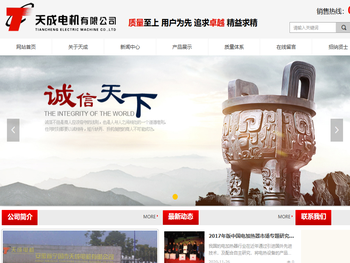 安徽省宁国市天成电机有限公司