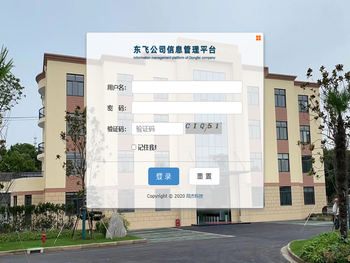 东飞公司信息平台