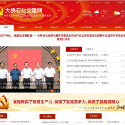 大桥石化党建网站