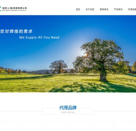 日本CHUO中央点焊机