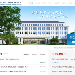 重庆两江新区开发投资集团有限公司