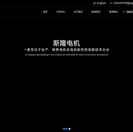 嵊州市斯隆电机有限公司