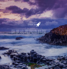 菠萝吹雪网络科技