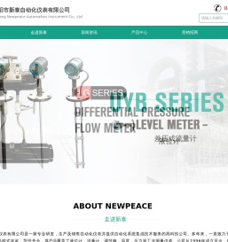 德阳市新泰自动化仪表有限公司