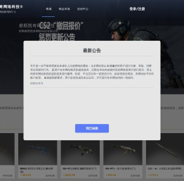 睿斯凯奇网络科技