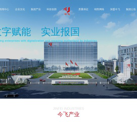 今飞控股集团有限公司