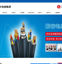 阳谷电缆