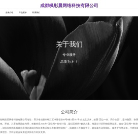 成都枫彤晨网络科技有限公司