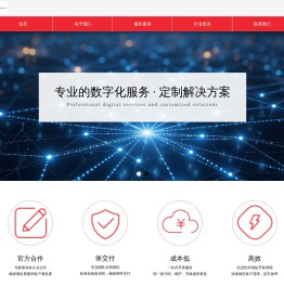 高效低成本一站式开发服务