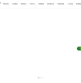 湖北江瀚新材料股份有限公司