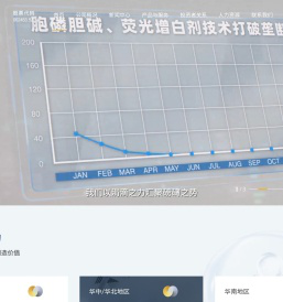 金陵华软科技股份有限公司