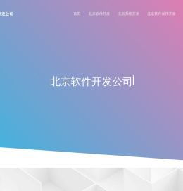 北京软件外包公司