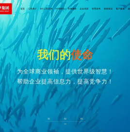 中研普华集团官网