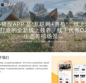 小猪投APP