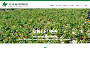 酒泉市酒洲种子有限责任公司