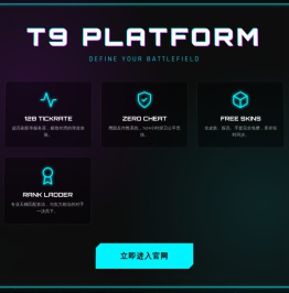 T9对战平台