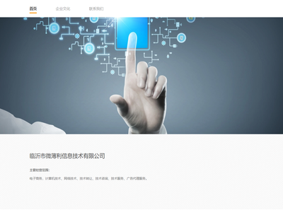 临沂市微薄利信息技术有限公司