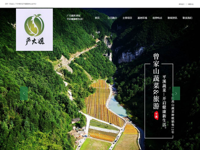 广元市朝天区平溪蔬菜专业合作社