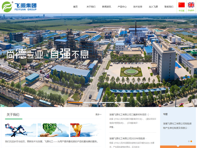 山东飞源集团有限公司