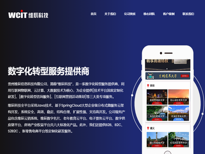 贵州维辰信息科技有限公司