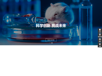 电镜检测,疾病模型鼠,