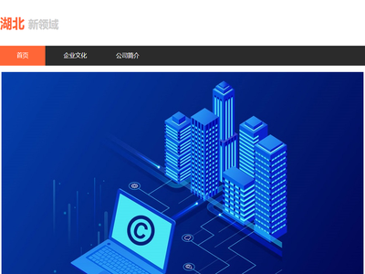 湖北新领域文化传媒有限公司