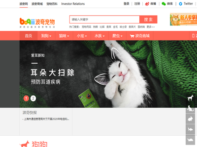 宠物网,宠物猫,宠物狗,波奇宠物网,波奇网
