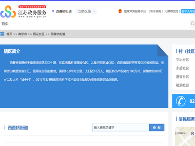 西善桥街道政务服务网