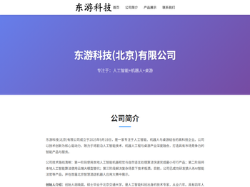 东游科技(北京)有限公司