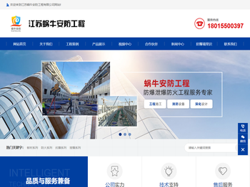 江苏蜗牛安防工程有限公司