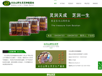 灵芝孢子粉,长白山野生灵芝,东北吉林山珍菌类