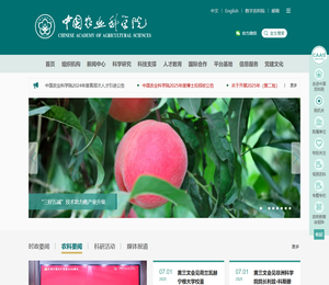 首页