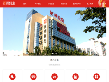 龙洲集团股份有限公司