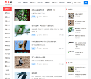 花鸟吧专注鸟类爱护，鸟类饲养，鸟类知识大全，鸟类大全，鸟类网
