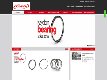 KAYDON轴承
